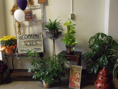 Photo of entrance to Blooming Acres in the First Street Community Center in Mount Vernon, Iowa